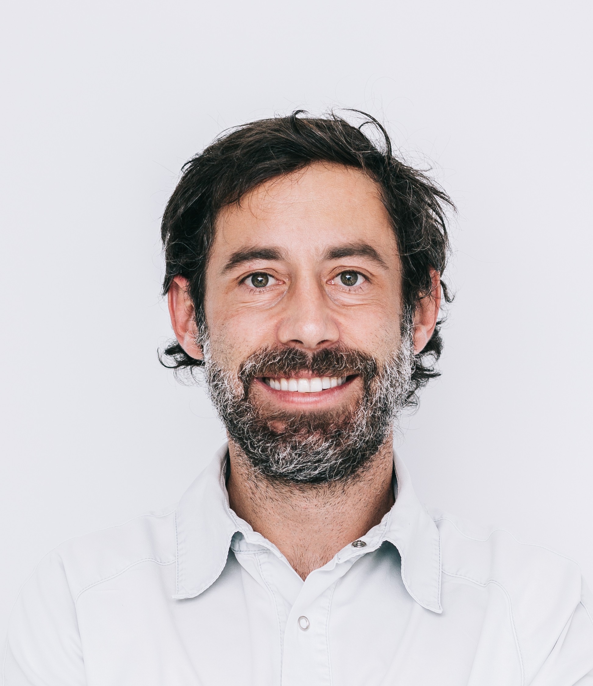Professor Ignacio Sanz Sanchez